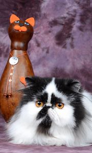 Preview wallpaper persian cat, figurine, cat, spotted