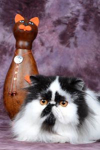 Preview wallpaper persian cat, figurine, cat, spotted