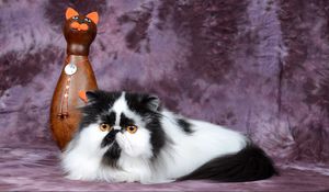 Preview wallpaper persian cat, figurine, cat, spotted