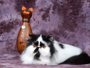 Preview wallpaper persian cat, figurine, cat, spotted