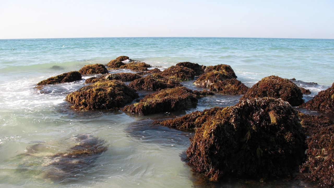 Wallpaper persian gulf, uae, dubai, sea, beach, rocks, waves