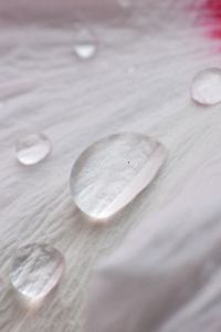 Preview wallpaper petal, drops, dew