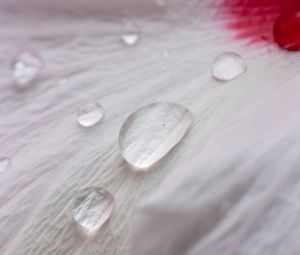 Preview wallpaper petal, drops, dew