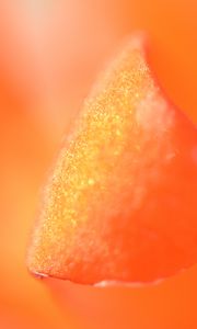 Preview wallpaper petal, macro, orange