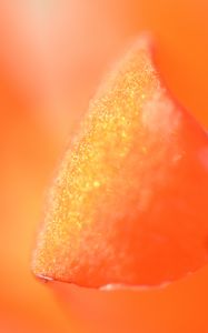 Preview wallpaper petal, macro, orange