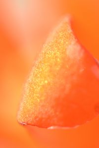 Preview wallpaper petal, macro, orange