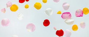 Preview wallpaper petals, colorful, macro, light