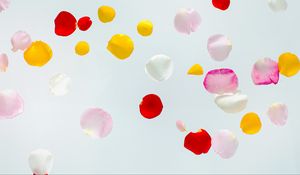 Preview wallpaper petals, colorful, macro, light