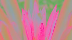 Preview wallpaper petals, flower, blur, pink