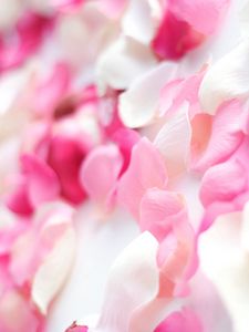 Preview wallpaper petals, flower, bright