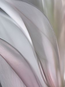 Preview wallpaper petals, folds, light, background