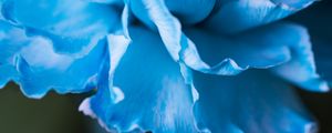 Preview wallpaper petals, macro, flower, blue