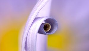 Preview wallpaper petals, macro, swirling, flower