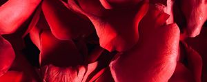 Preview wallpaper petals, rose, macro, red