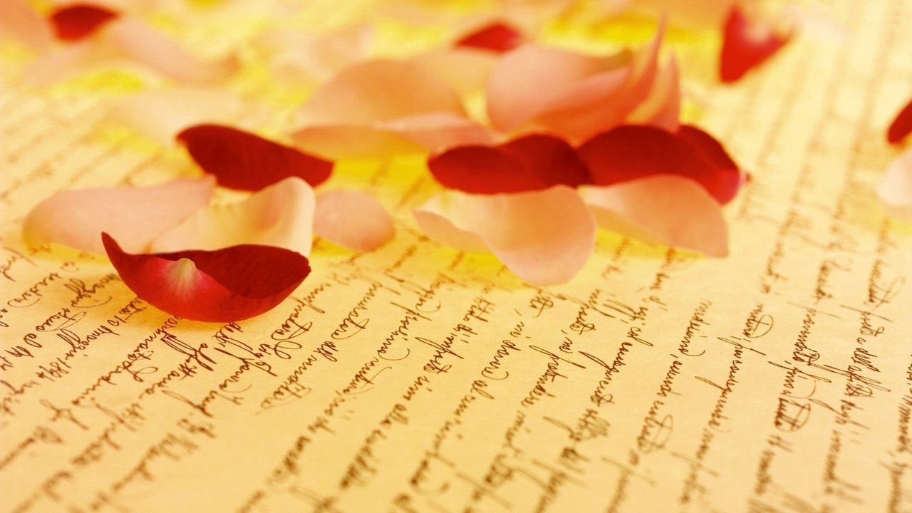 Wallpaper petals, rose, paper, lettering, yellow
