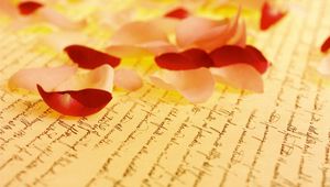 Preview wallpaper petals, rose, paper, lettering, yellow