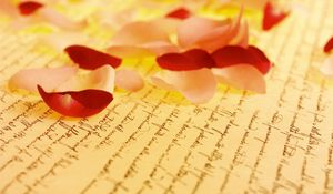 Preview wallpaper petals, rose, paper, lettering, yellow