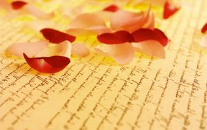 Preview wallpaper petals, rose, paper, lettering, yellow