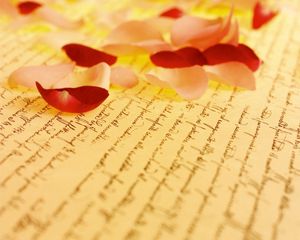 Preview wallpaper petals, rose, paper, lettering, yellow