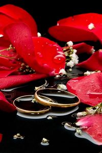 Preview wallpaper petals, rose, rings, love