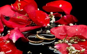 Preview wallpaper petals, rose, rings, love