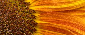 Preview wallpaper petals, sunflower, flower, macro, orange