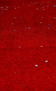 Preview wallpaper petals, surface, red, background