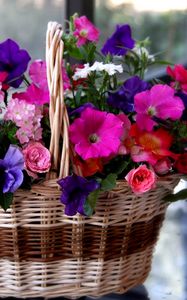 Preview wallpaper petunia, pansies, geraniums, roses, flowers, different, basket