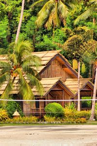 Preview wallpaper philippines, samal, island, palm trees, huts, bungalows