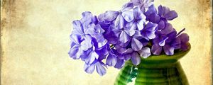Preview wallpaper phlox, flowers, vase, background