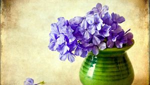 Preview wallpaper phlox, flowers, vase, background