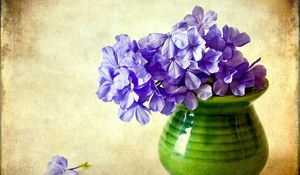 Preview wallpaper phlox, flowers, vase, background