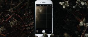 Preview wallpaper phone, bush, branches, photo