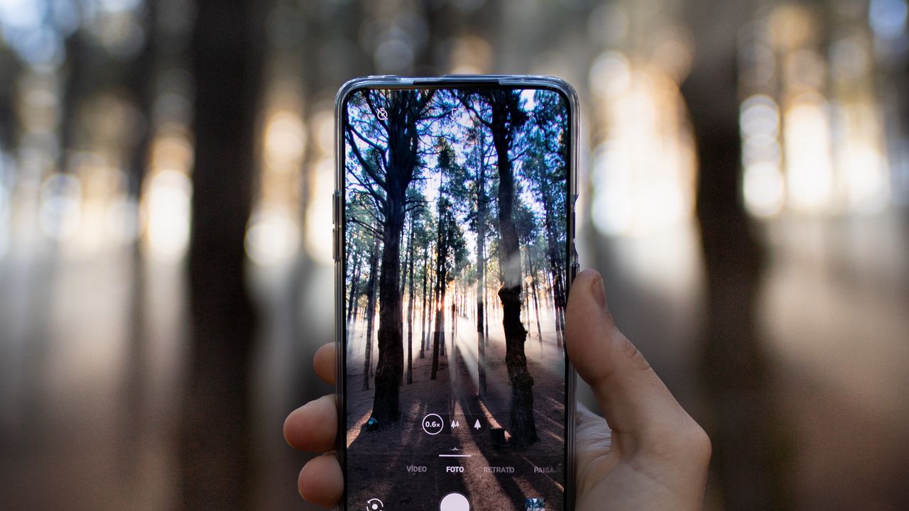 Wallpaper phone, hand, camera, forest, rays
