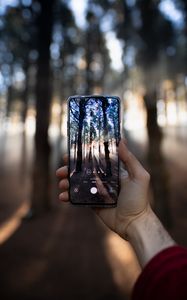 Preview wallpaper phone, hand, camera, forest, rays