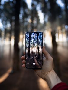 Preview wallpaper phone, hand, camera, forest, rays