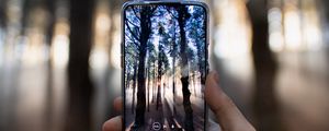 Preview wallpaper phone, hand, camera, forest, rays