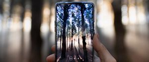 Preview wallpaper phone, hand, camera, forest, rays