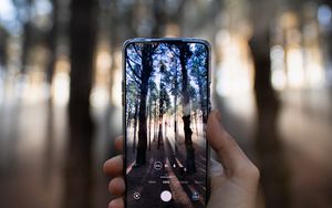 Preview wallpaper phone, hand, camera, forest, rays