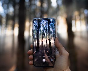 Preview wallpaper phone, hand, camera, forest, rays