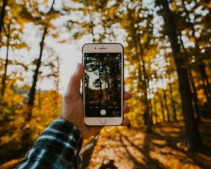 Preview wallpaper phone, hand, photo, nature