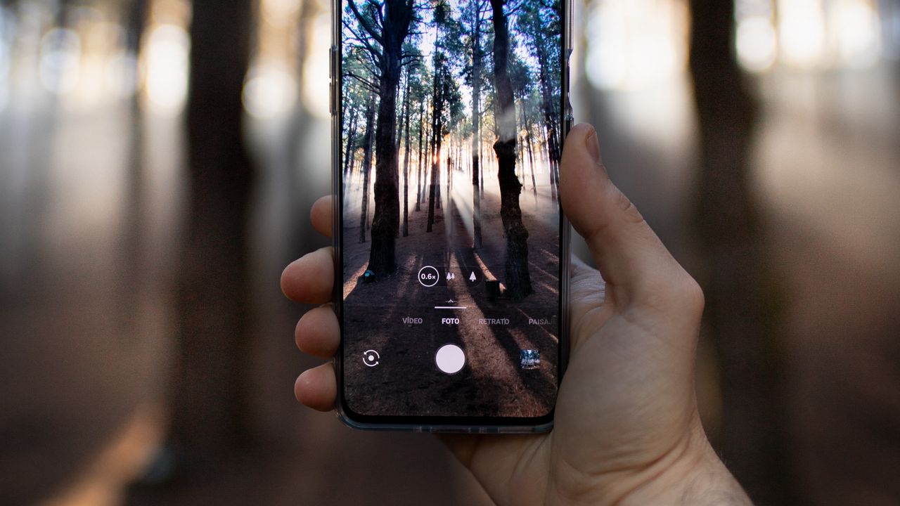 Wallpaper phone, hand, shooting, forest