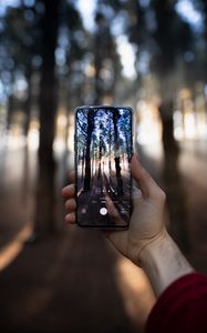 Preview wallpaper phone, hand, shooting, forest