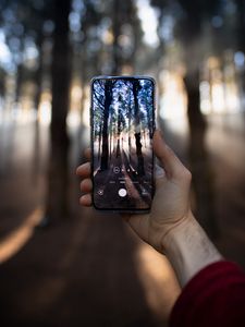 Preview wallpaper phone, hand, shooting, forest