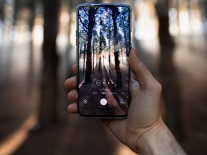 Preview wallpaper phone, hand, shooting, forest