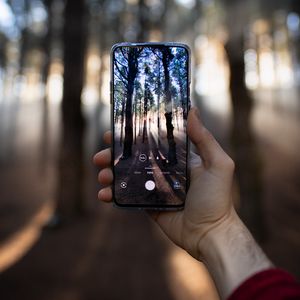 Preview wallpaper phone, hand, shooting, forest