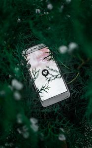 Preview wallpaper phone, screen, heart, symbol, plant, branches