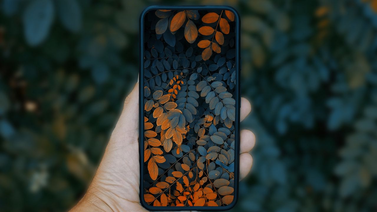 Wallpaper phone, smartphone, hand, leaves, photo
