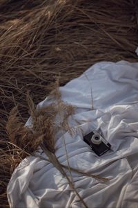 Preview wallpaper photo camera, retro, grass, dry, fabric, white