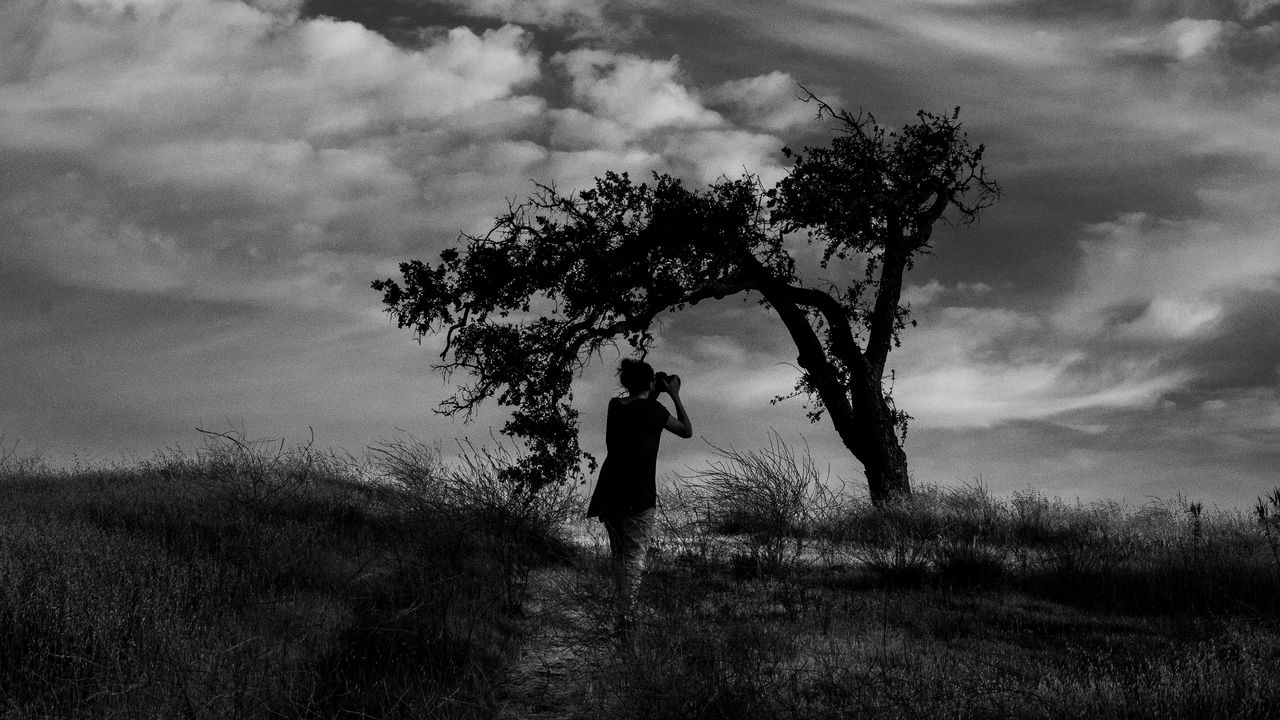 Wallpaper photographer, field, bw, wind, clouds, tree